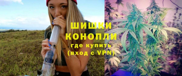 spice Сосновка