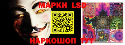 ПСИЛОЦИБИНОВЫЕ ГРИБЫ Гай