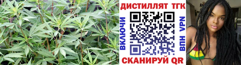 Дистиллят ТГК вейп с тгк  это официальный сайт  Симферополь  купить закладку 