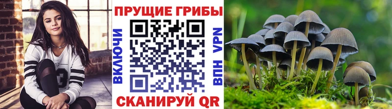 Галлюциногенные грибы Magic Shrooms  цены наркотик  Симферополь 
