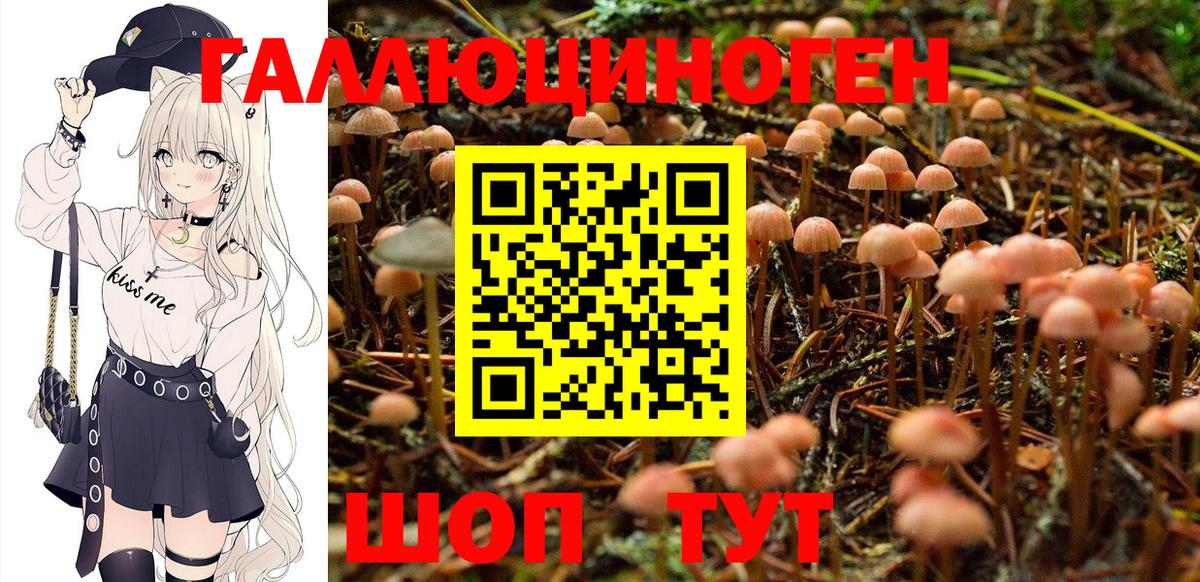 Псилоцибиновые грибы мицелий Симферополь