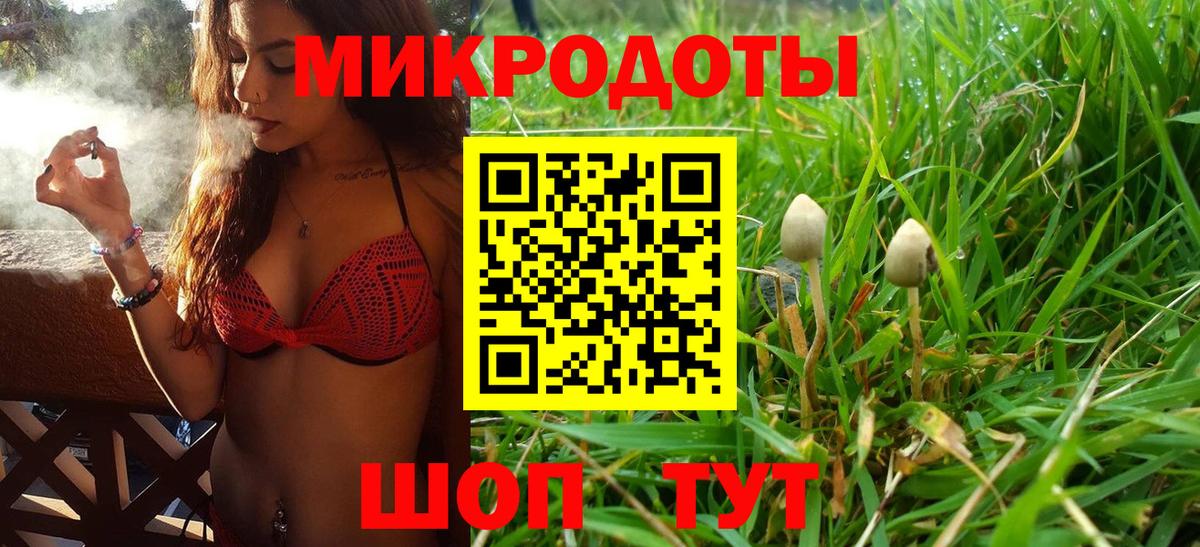 Галлюциногенные грибы MAGIC MUSHROOMS  Вход с VPN  Симферополь  Галлюциногенные грибы прущие грибы 