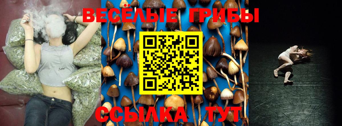 Псилоцибиновые грибы Magic Shrooms  Симферополь 